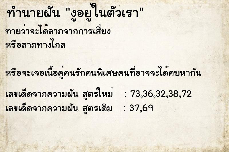 ทำนายฝันงูอยู่ในตัวเรา ทำนายฝันทำนายฝันงูอยู่ในตัวเรา