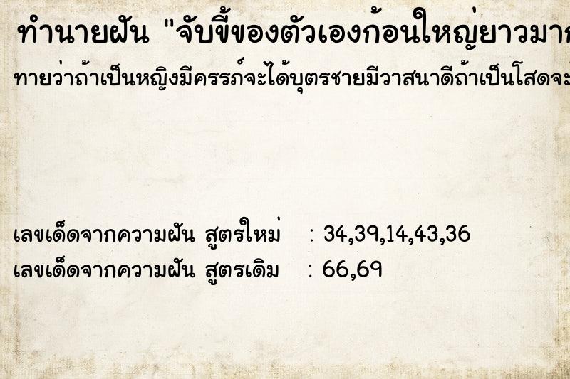 ทำนายฝันจับขี้ของตัวเองก้อนใหญ่ยาวมาก ทำนายฝันทำนายฝันจับขี้ของตัวเองก้อนใหญ่ยาวมาก