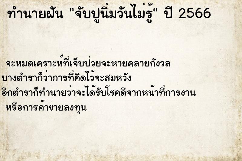 ทำนายฝันจับปูนิ่มวันไม่รู้ ทำนายฝันทำนายฝันจับปูนิ่มวันไม่รู้
