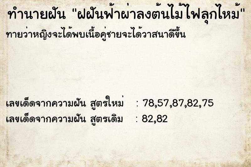 ทำนายฝัน ฝฝันฟ้าผ่าลงต้นไม้ไฟลุกไหม้