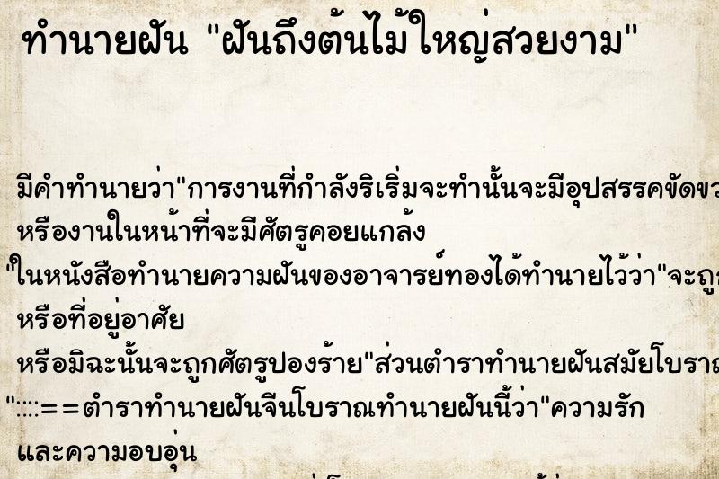 ทำนายฝัน ฝันถึงต้นไม้ใหญ่สวยงาม ทำนายฝัน ฝันถึงต้นไม้ใหญ่สวยงาม