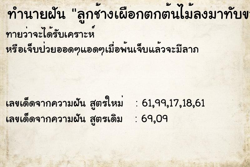 ทำนายฝันลูกช้างเผือกตกต้นไม้ลงมาทับขาแล้วช้างตาย ทำนายฝันทำนายฝันลูกช้างเผือกตกต้นไม้ลงมาทับขาแล้วช้างตาย