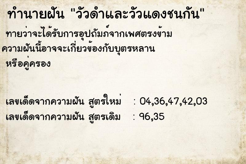 ทำนายฝันวัวดำและวัวแดงชนกัน ทำนายฝันทำนายฝันวัวดำและวัวแดงชนกัน