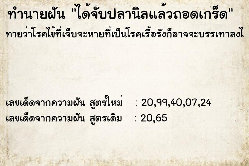ทำนายฝันได้จับปลานิลแล้วถอดเกร็ด ทำนายฝันทำนายฝันได้จับปลานิลแล้วถอดเกร็ด