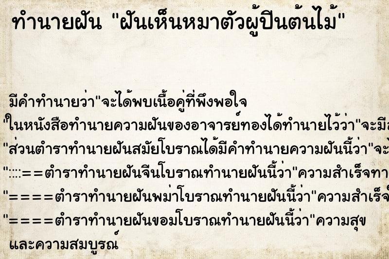 ทำนายฝันฝันเห็นหมาตัวผู้ปีนต้นไม้ ทำนายฝันทำนายฝันฝันเห็นหมาตัวผู้ปีนต้นไม้