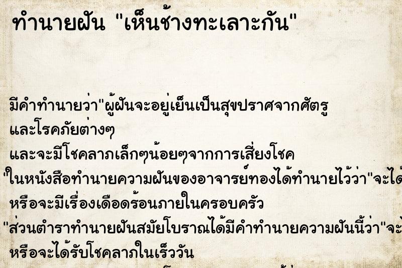 ทำนายฝัน เห็นช้างทะเลาะกัน ตำราโบราณ แม่นที่สุดในโลก