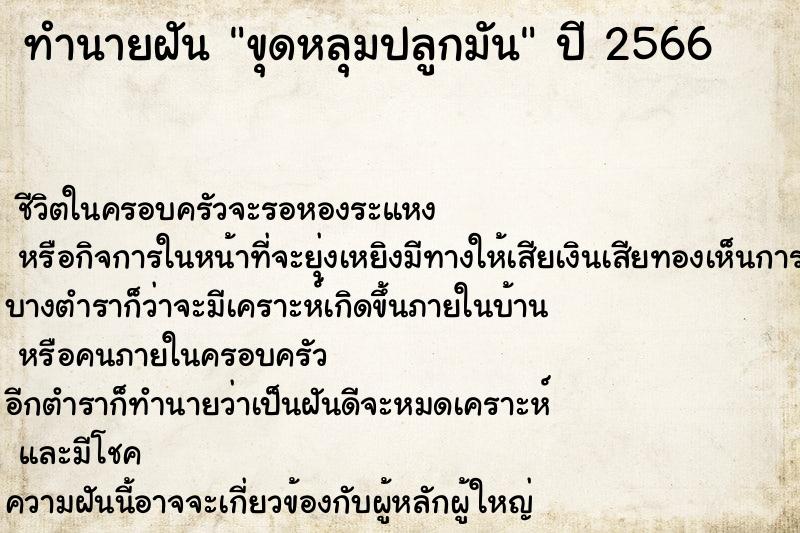 ทำนายฝันขุดหลุมปลูกมัน ทำนายฝันทำนายฝันขุดหลุมปลูกมัน