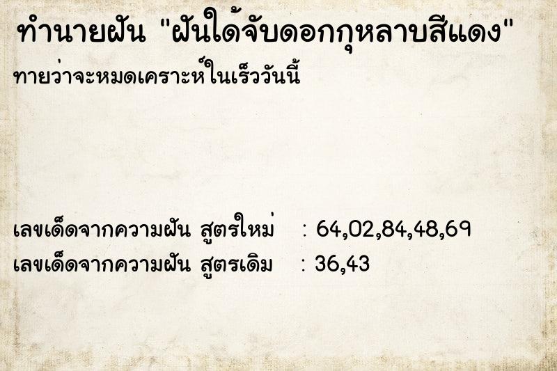 ทำนายฝันฝันใด้จับดอกกุหลาบสีแดง ทำนายฝันทำนายฝันฝันใด้จับดอกกุหลาบสีแดง