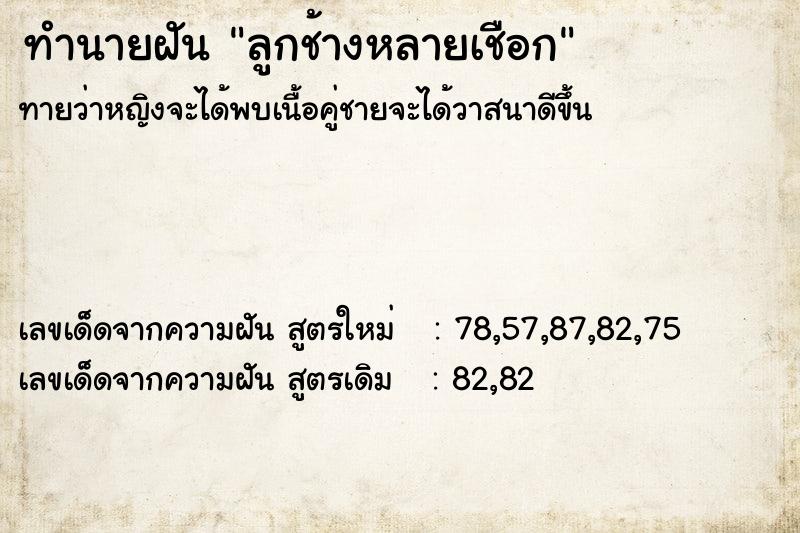 ทำนายฝันทำนายฝันลูกช้างหลายเชือก