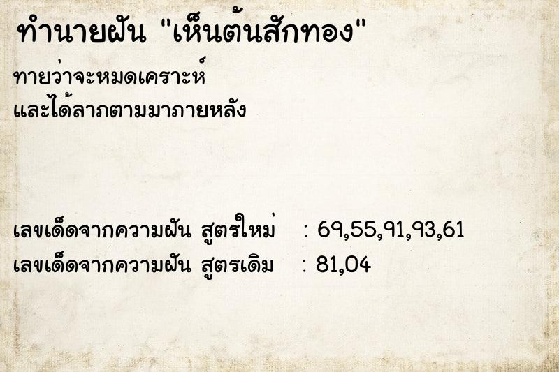 ทำนายฝัน เห็นต้นสักทอง ทำนายฝัน เห็นต้นสักทอง