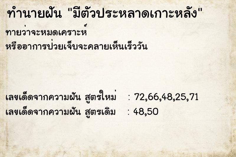 ทำนายฝันมีตัวประหลาดเกาะหลัง ทำนายฝันทำนายฝันมีตัวประหลาดเกาะหลัง