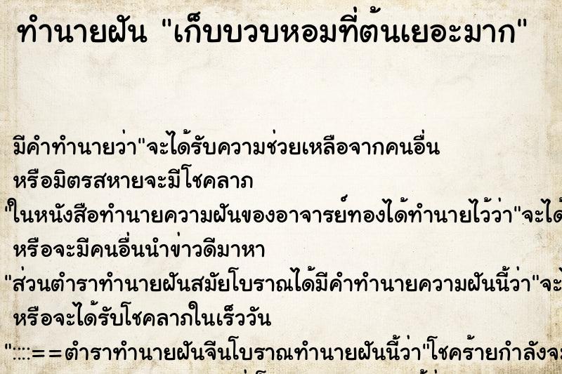 ทำนายฝัน เก็บบวบหอมที่ต้นเยอะมาก ทำนายฝัน เก็บบวบหอมที่ต้นเยอะมาก