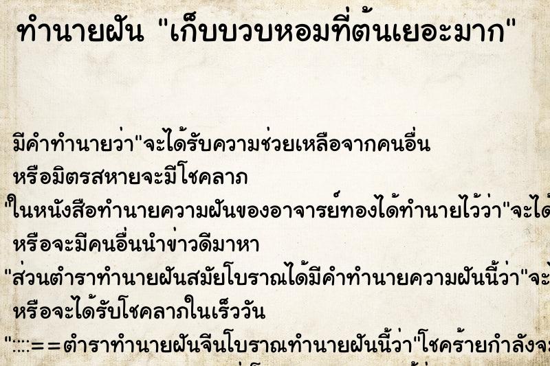 ทำนายฝัน เก็บบวบหอมที่ต้นเยอะมาก ตำราโบราณ แม่นที่สุดในโลก