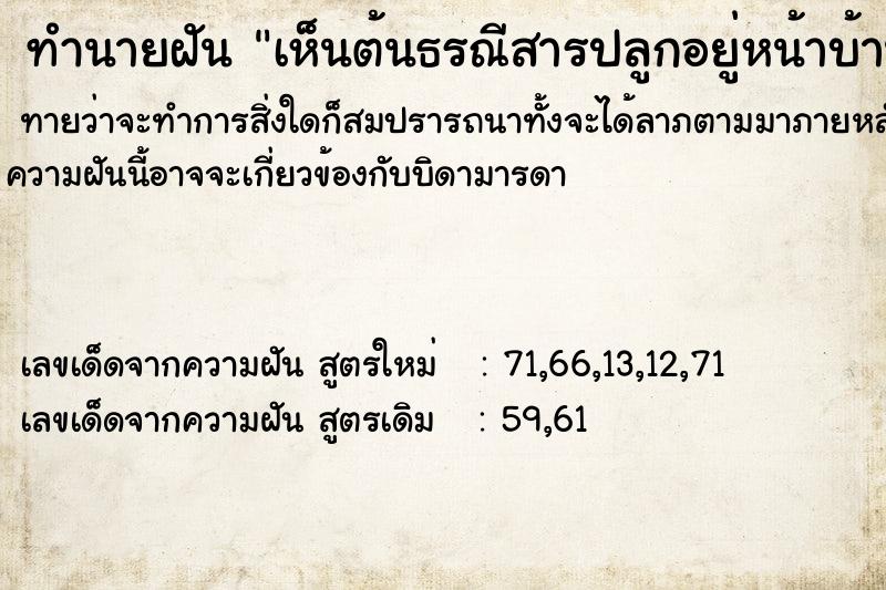 ทำนายฝันทำนายฝันเห็นต้นธรณีสารปลูกอยู่หน้าบ้านเรา
