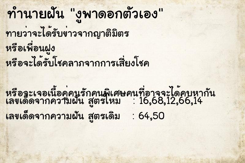 ทำนายฝันงูพาดอกตัวเอง ทำนายฝันทำนายฝันงูพาดอกตัวเอง