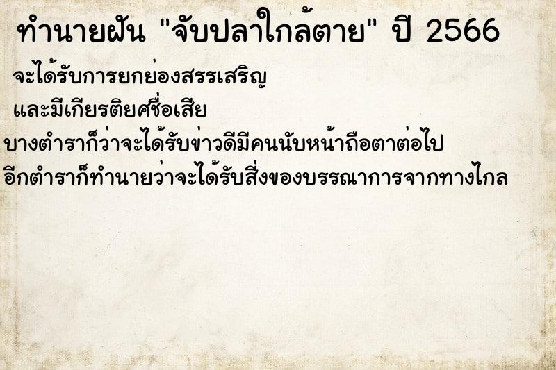 ทำนายฝัน จับปลาใกล้ตาย
