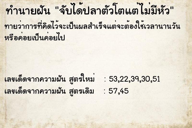ทำนายฝันทำนายฝันจับได้ปลาตัวโตแต่ไม่มีหัว