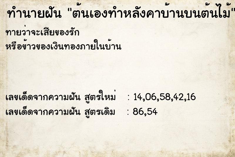 ทำนายฝันต้นเองทำหลังคาบ้านบนต้นไม้ ทำนายฝันทำนายฝันต้นเองทำหลังคาบ้านบนต้นไม้