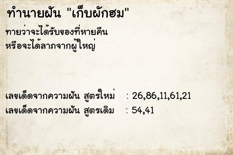 ทำนายฝัน เก็บผักฮม ทำนายฝัน เก็บผักฮม