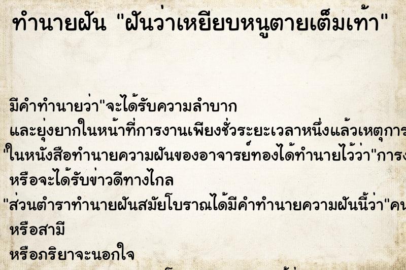 ทำนายฝันฝันว่าเหยียบหนูตายเต็มเท้า ทำนายฝันทำนายฝันฝันว่าเหยียบหนูตายเต็มเท้า