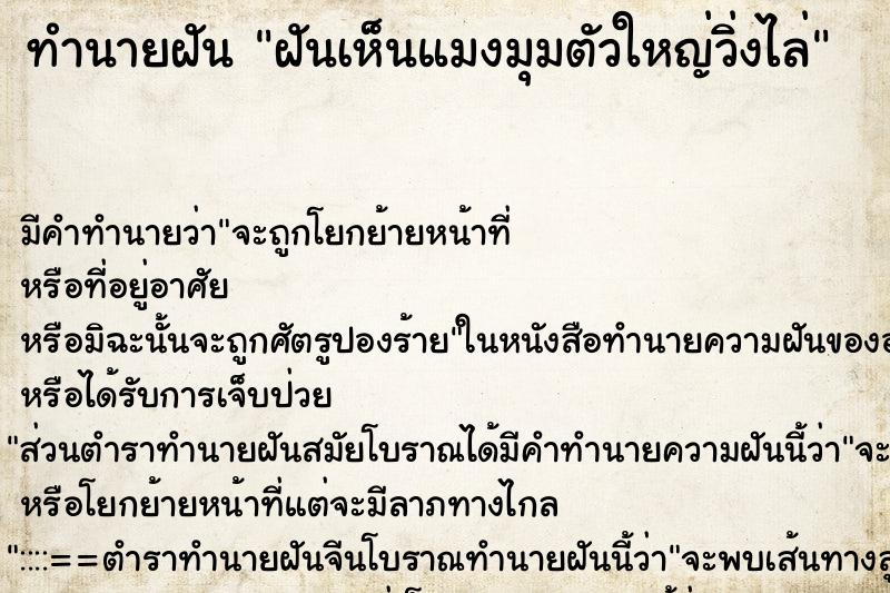 ทำนายฝัน ฝันเห็นแมงมุมตัวใหญ่วิ่งไล่