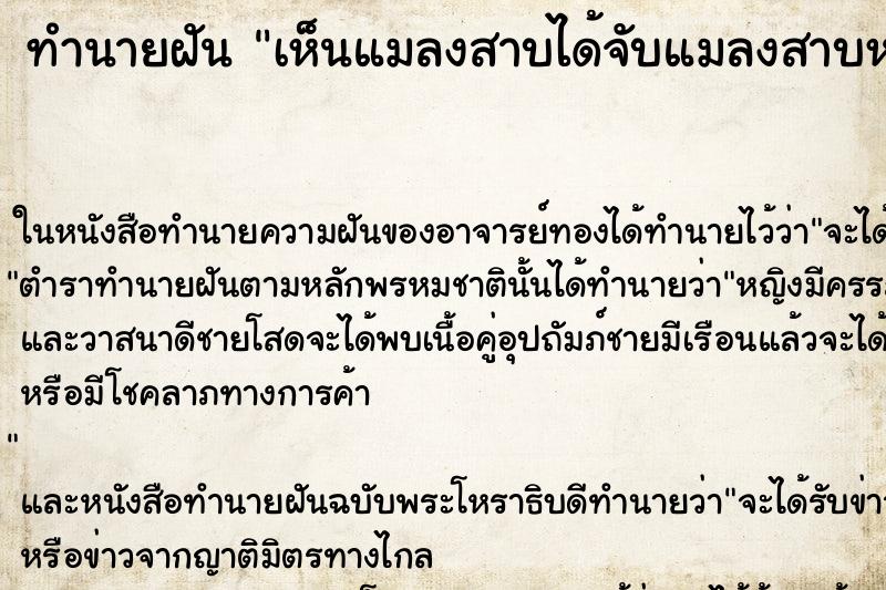 ทำนายฝันเห็นแมลงสาบได้จับแมลงสาบหรือฆ่าแมลงสาบตาย ทำนายฝันทำนายฝันเห็นแมลงสาบได้จับแมลงสาบหรือฆ่าแมลงสาบตาย