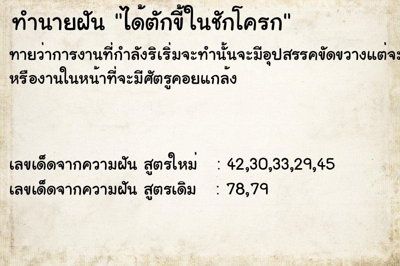 ทำนายฝันได้ตักขี้ในชักโครก ทำนายฝันทำนายฝันได้ตักขี้ในชักโครก