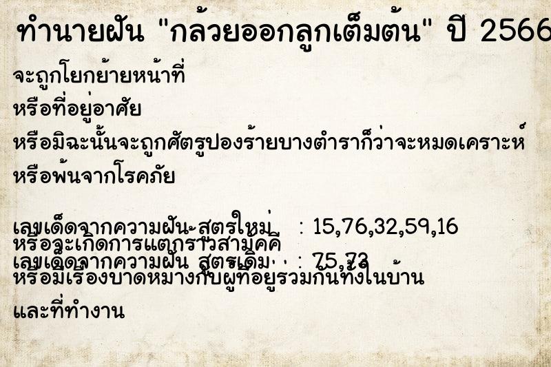 ทำนายฝัน กล้วยออกลูกเต็มต้น