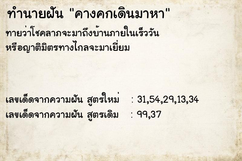 ทำนายฝันทำนายฝันคางคกเดินมาหา