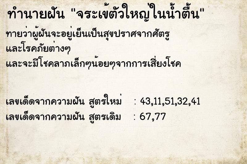 ทำนายฝันจระเข้ตัวใหญ่ในน้ำตื้น ทำนายฝันทำนายฝันจระเข้ตัวใหญ่ในน้ำตื้น