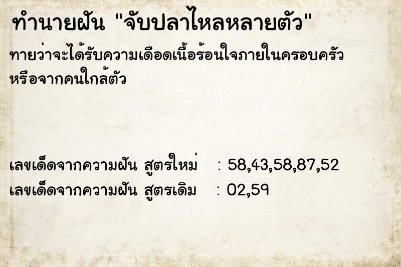 ทำนายฝันจับปลาไหลหลายตัว ทำนายฝันทำนายฝันจับปลาไหลหลายตัว