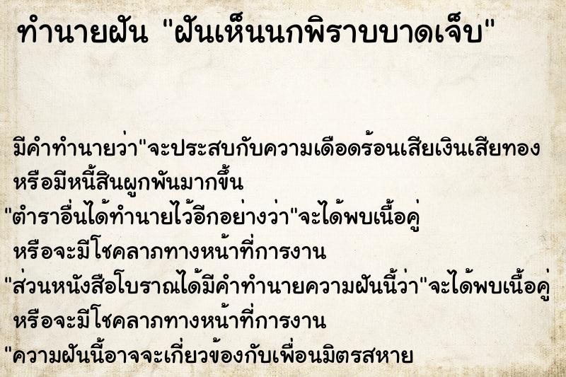 ทำนายฝันฝันเห็นนกพิราบบาดเจ็บ ทำนายฝันทำนายฝันฝันเห็นนกพิราบบาดเจ็บ