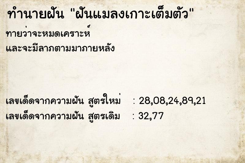 ทำนายฝันฝันแมลงเกาะเต็มตัว ทำนายฝันทำนายฝันฝันแมลงเกาะเต็มตัว