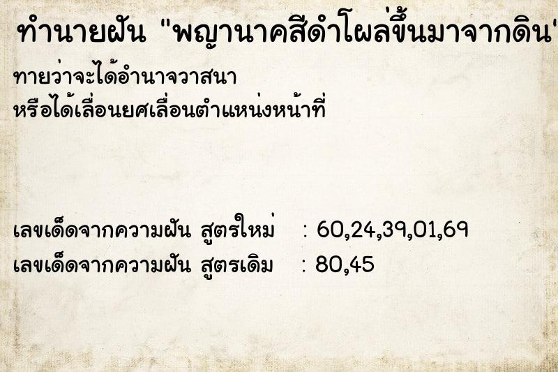 ทำนายฝันพญานาคสีดำโผล่ขึ้นมาจากดิน ทำนายฝันทำนายฝันพญานาคสีดำโผล่ขึ้นมาจากดิน