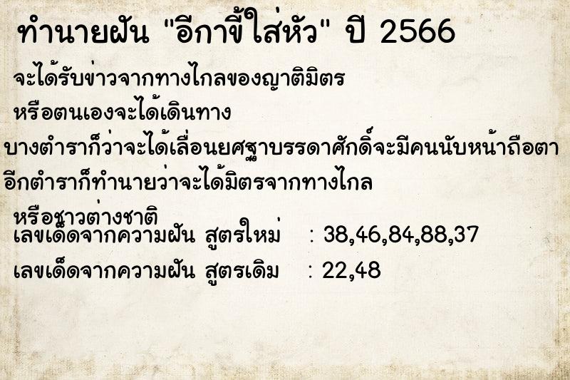 ทำนายฝันอีกาขี้ใส่หัว ทำนายฝันทำนายฝันอีกาขี้ใส่หัว