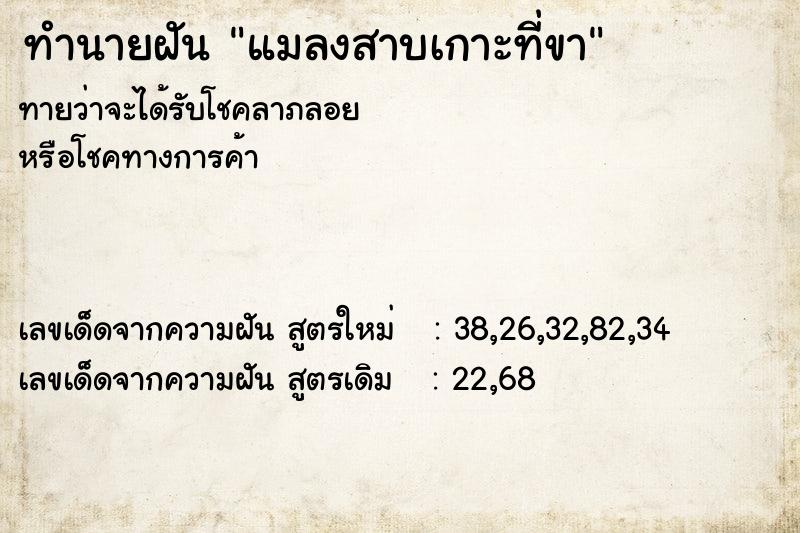 ทำนายฝันแมลงสาบเกาะที่ขา ทำนายฝันทำนายฝันแมลงสาบเกาะที่ขา