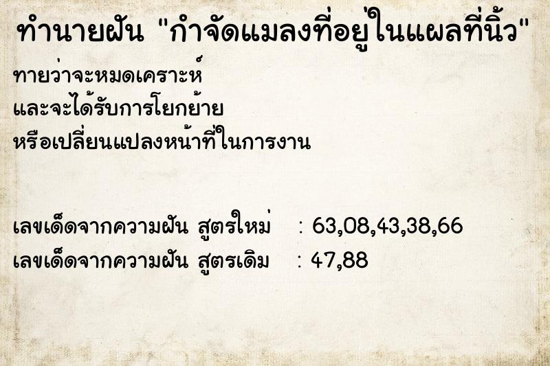 ทำนายฝันกำจัดแมลงที่อยู่ในแผลที่นิ้ว ทำนายฝันทำนายฝันกำจัดแมลงที่อยู่ในแผลที่นิ้ว