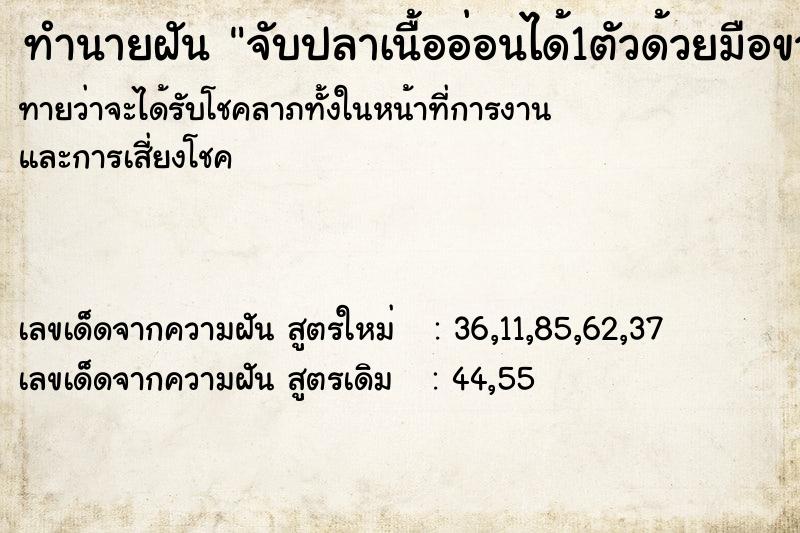 ทำนายฝันทำนายฝันจับปลาเนื้ออ่อนได้1ตัวด้วยมือขวา