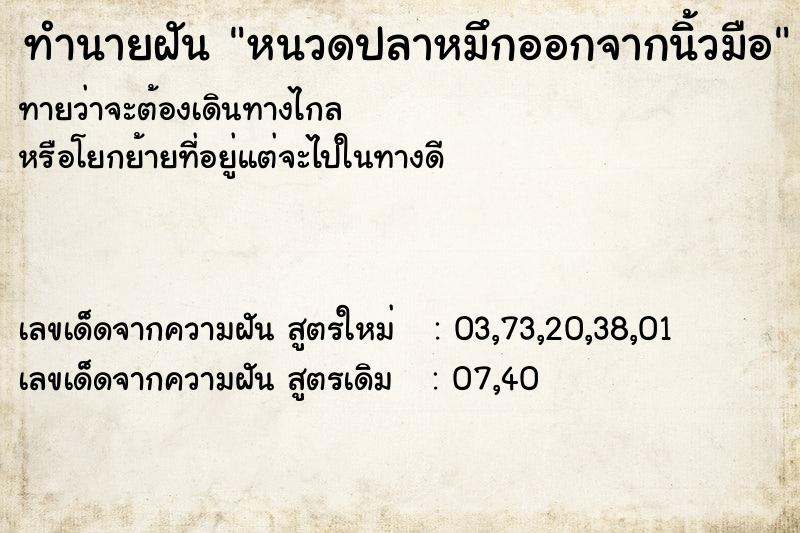 ทำนายฝันทำนายฝันหนวดปลาหมึกออกจากนิ้วมือ