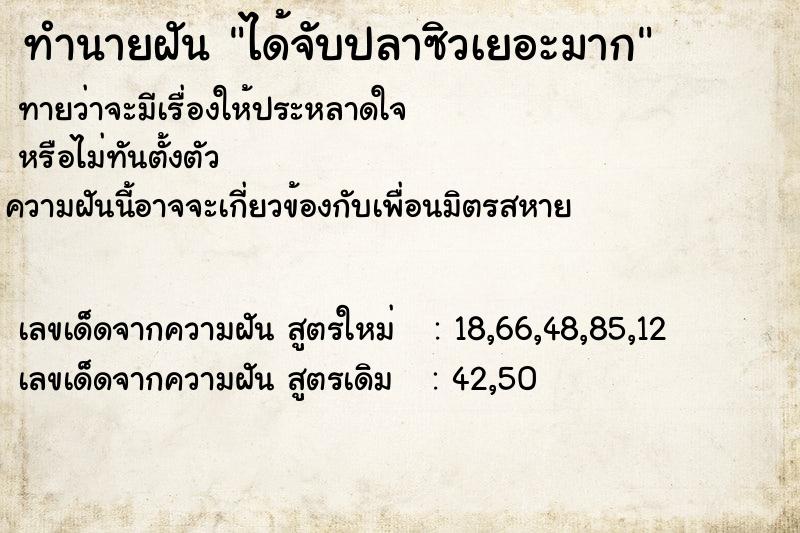 ทำนายฝันได้จับปลาซิวเยอะมาก ทำนายฝันทำนายฝันได้จับปลาซิวเยอะมาก