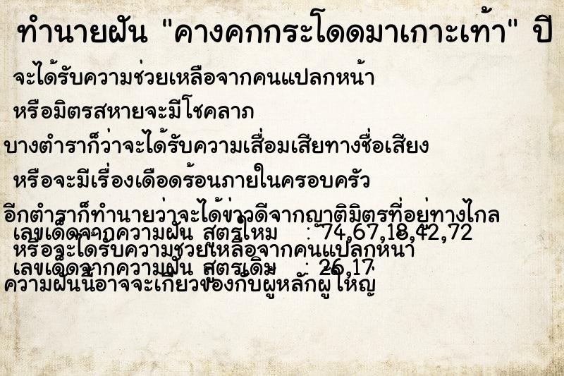 ทำนายฝันทำนายฝันคางคกกระโดดมาเกาะเท้า