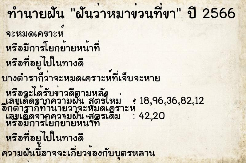 ทำนายฝันฝันว่าหมาข่วนที่ขา ทำนายฝันทำนายฝันฝันว่าหมาข่วนที่ขา