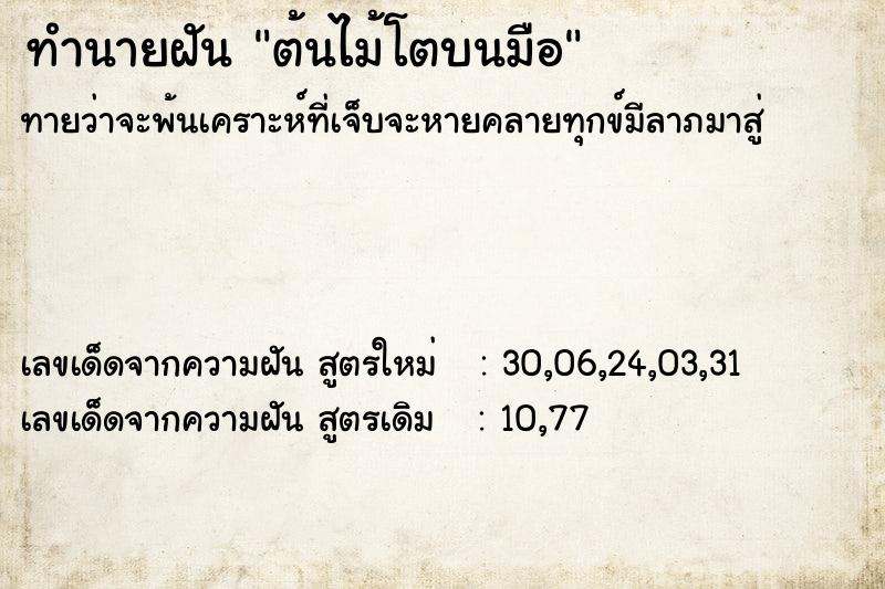 ทำนายฝันต้นไม้โตบนมือ ทำนายฝันทำนายฝันต้นไม้โตบนมือ
