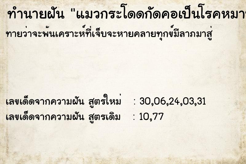 ทำนายฝันทำนายฝันแมวกระโดดกัดคอเป็นโรคหมาบ้า