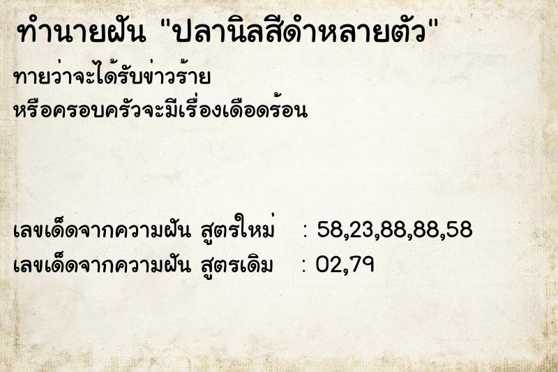 ทำนายฝันปลานิลสีดำหลายตัว ทำนายฝันทำนายฝันปลานิลสีดำหลายตัว