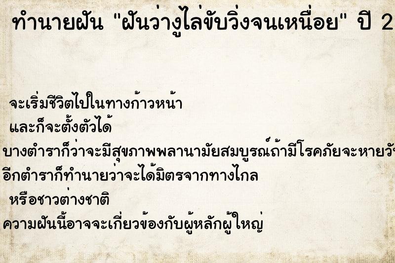 ทำนายฝันทำนายฝันฝันว่างูไล่ขับวิ่งจนเหนื่อย