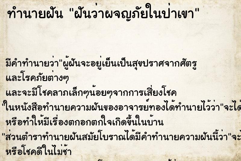 ทำนายฝันฝันว่าผจญภัยในป่าเขา ทำนายฝันทำนายฝันฝันว่าผจญภัยในป่าเขา