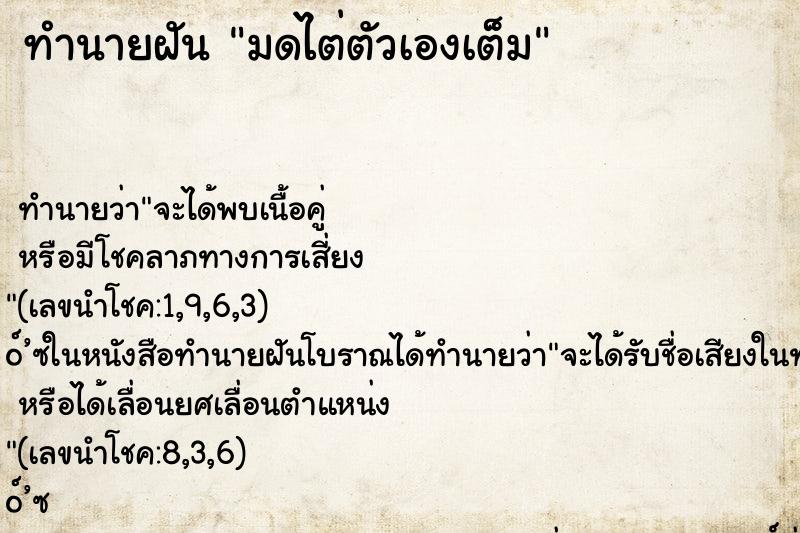 ทำนายฝัน มดไต่ตัวเองเต็ม ทำนายฝัน มดไต่ตัวเองเต็ม