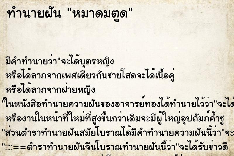 ทำนายฝัน หมาดมตูด ตำราโบราณ แม่นที่สุดในโลก