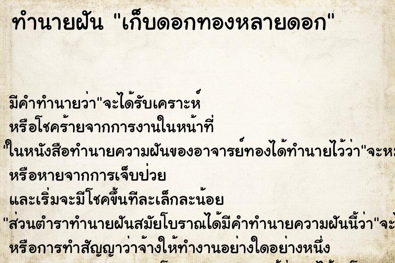 ทำนายฝัน เก็บดอกทองหลายดอก ทำนายฝัน เก็บดอกทองหลายดอก